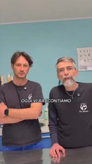 Lo studio raccontato dal titolare &mdash; Veterinario Calatino, video realizzato da Giesse Agency.